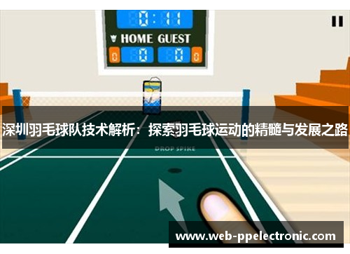 深圳羽毛球队技术解析：探索羽毛球运动的精髓与发展之路